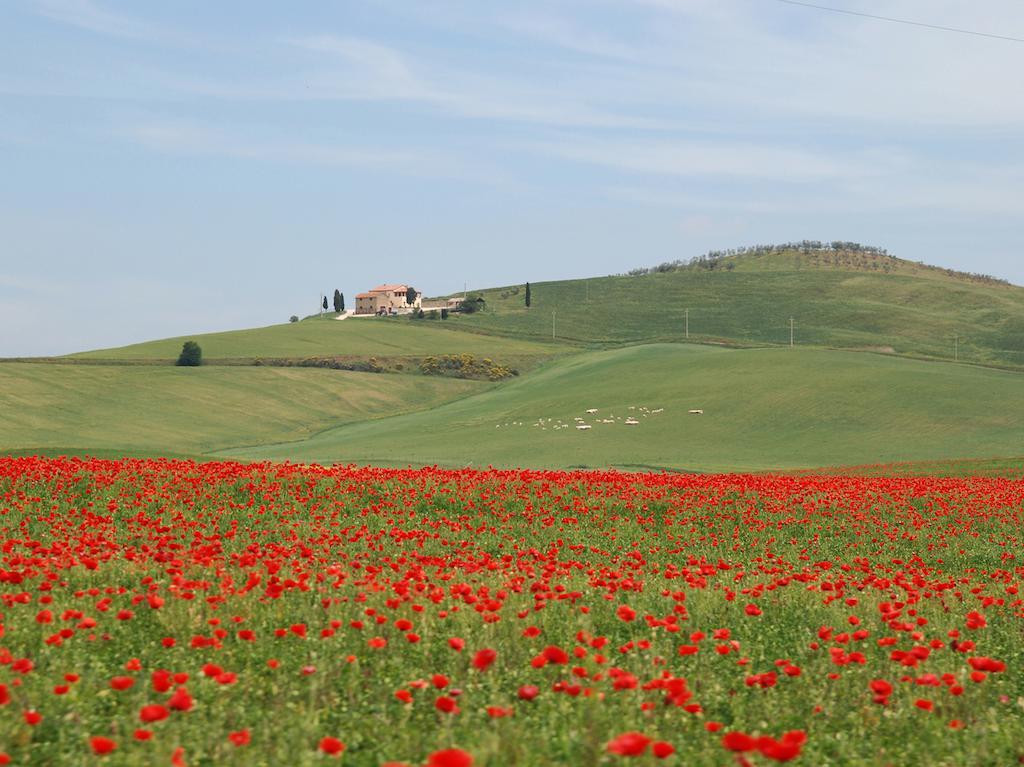 Agriturismo Poggio Tobruk Villa ปีเอนซา ภายนอก รูปภาพ