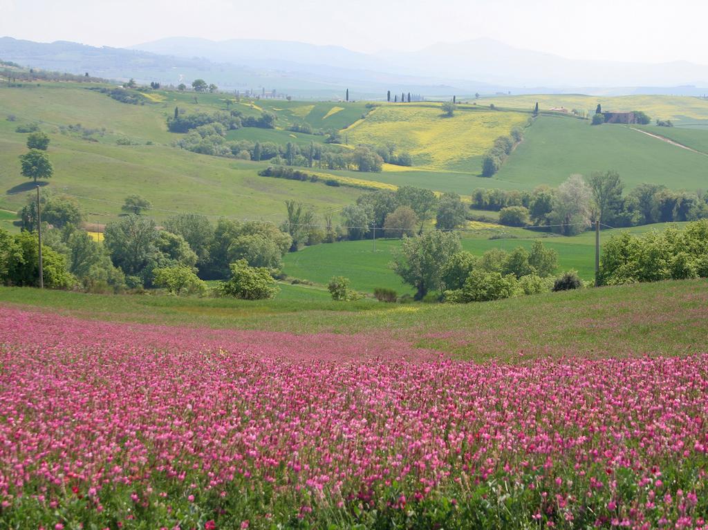 Agriturismo Poggio Tobruk Villa ปีเอนซา ภายนอก รูปภาพ